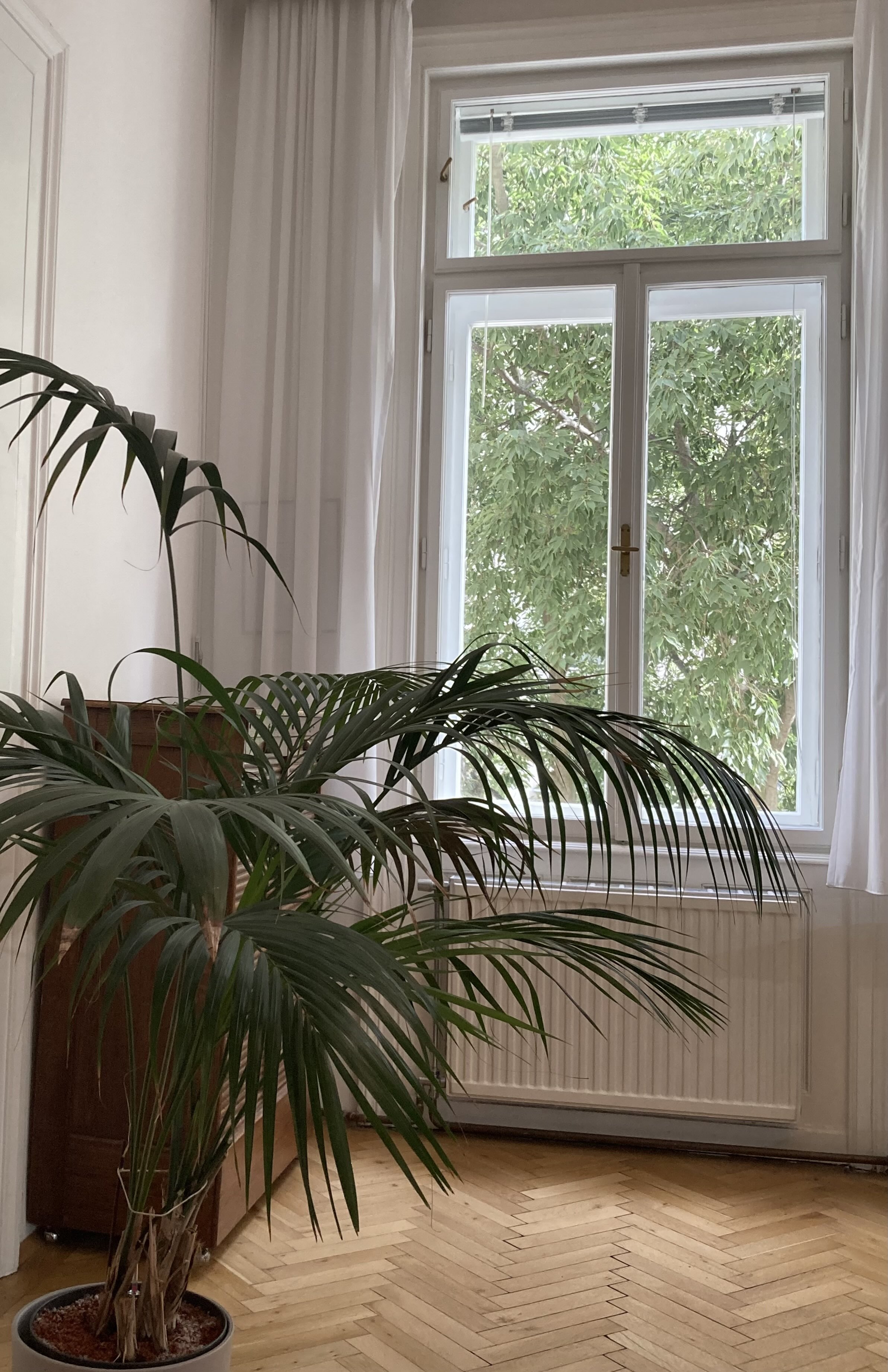 Psychotherapeutischer Praxisraum zur Mitbenutzung