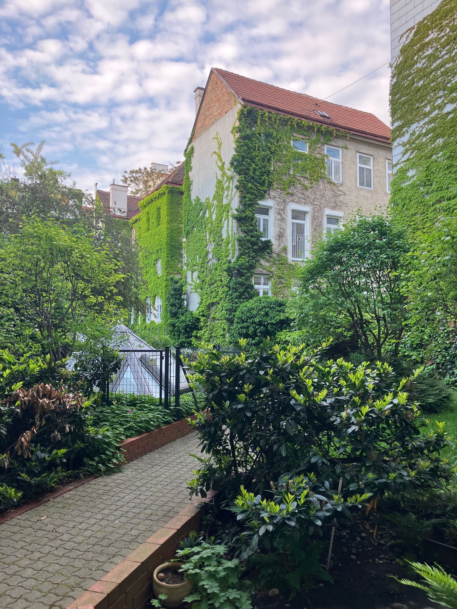 2 Therapieräume mit Blick in begrünten Innenhof